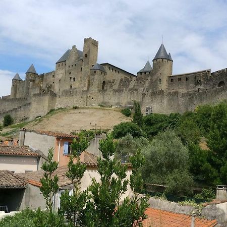 Face à la Cité une vue SUBLIME Carcassonne Esterno foto