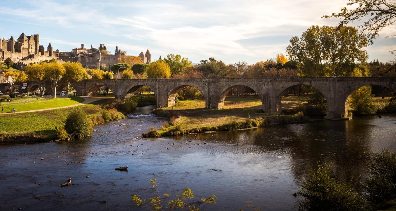 Face à la Cité une vue SUBLIME Carcassonne Esterno foto