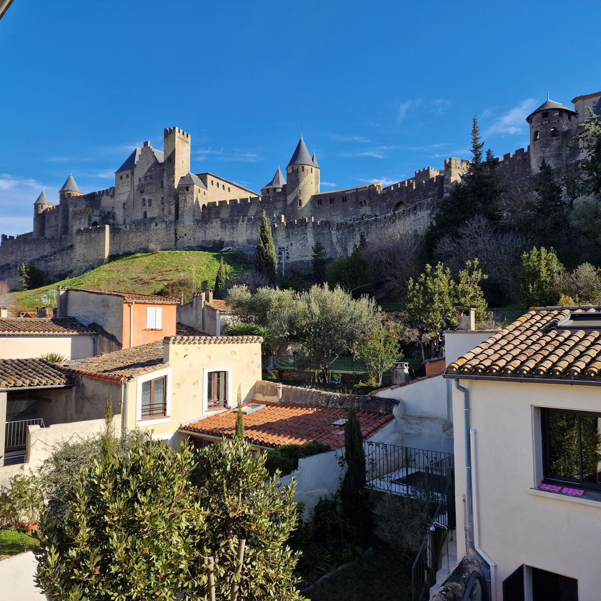 Face à la Cité une vue SUBLIME Carcassonne Esterno foto