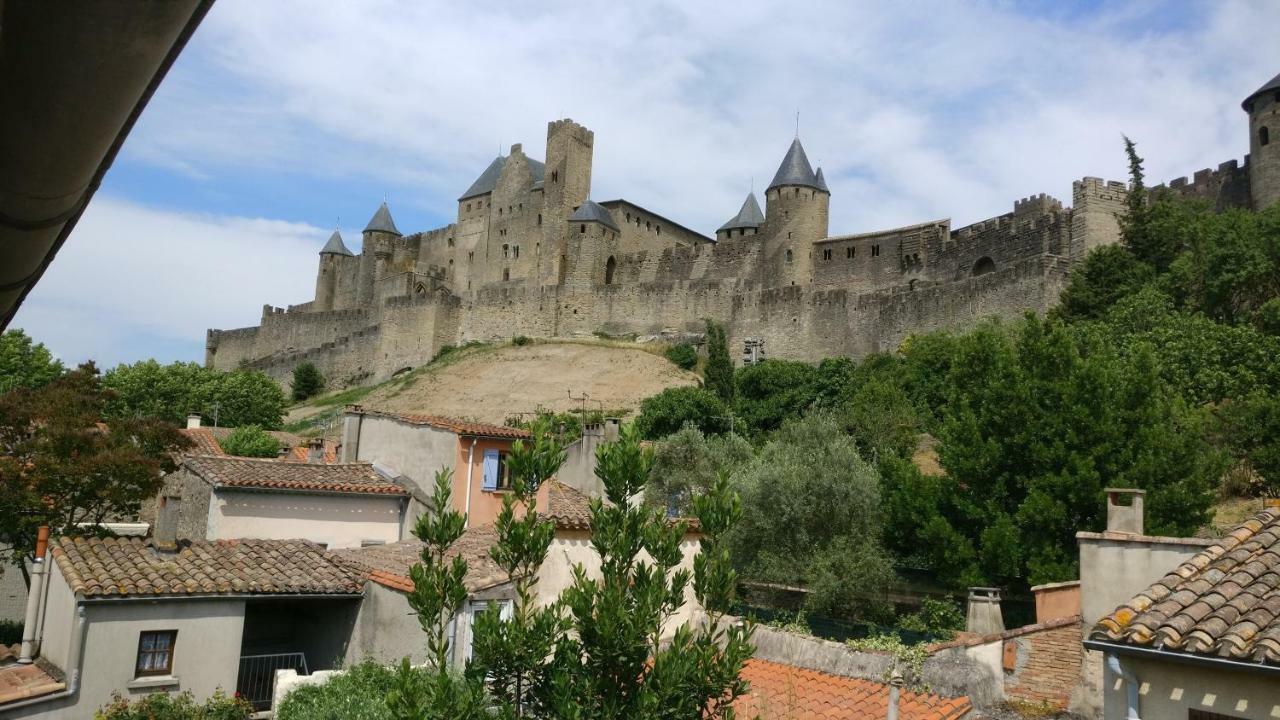 Face à la Cité une vue SUBLIME Carcassonne Esterno foto