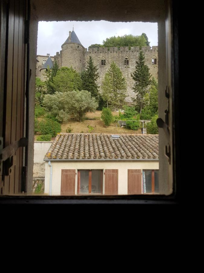 Face à la Cité une vue SUBLIME Carcassonne Esterno foto