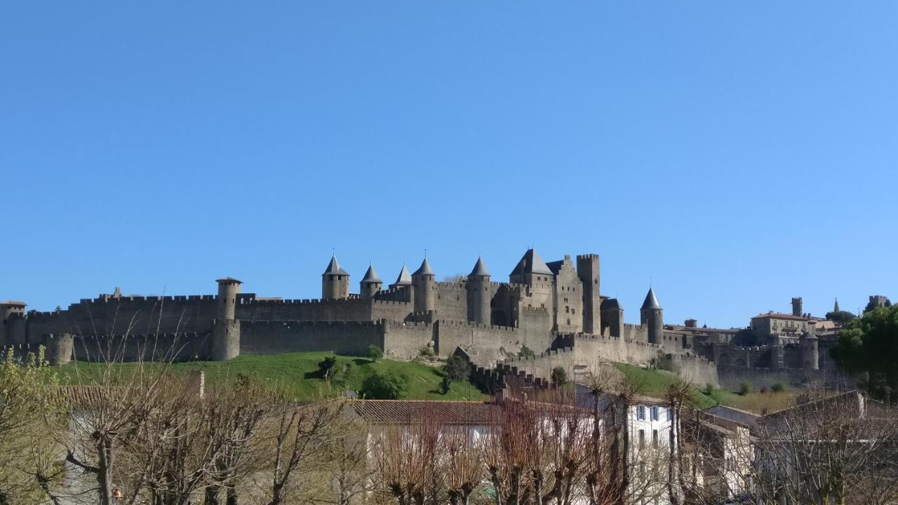 Face à la Cité une vue SUBLIME Carcassonne Esterno foto